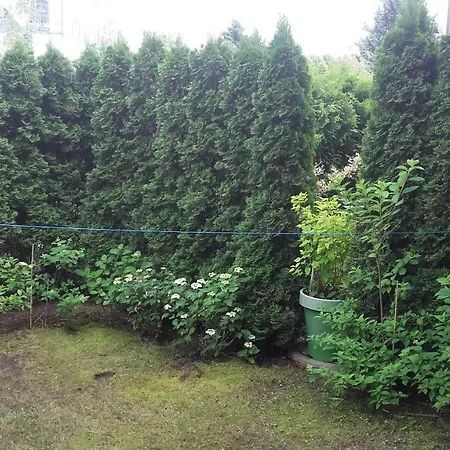 Rodzinny Family Garden
